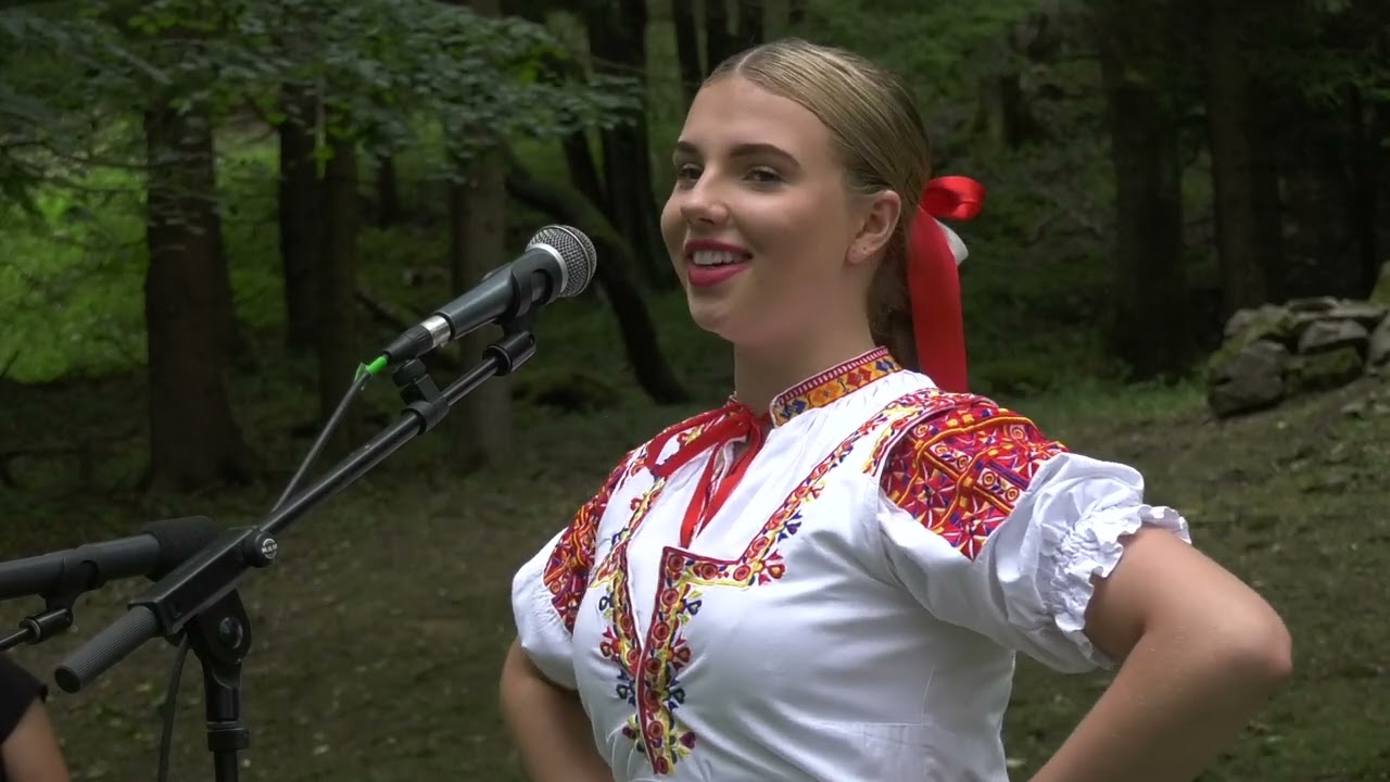 Petrovice v zátiší osád