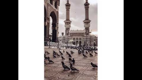 { إن المتقين في جنات ونهر في مقعد صدق عند مليك مقتدر ،،، الآية } بصوت : محمد صديق المنشاوي