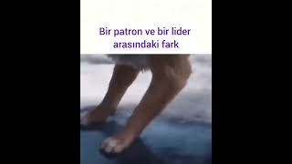 Bir Patron Ve Bir Lider Arasındaki Fark