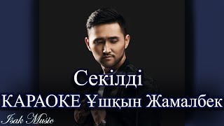 Ұшқын Жамалбек / Секілді | КАРАОКЕ | Lyrics | минус | 2021 Жана ән