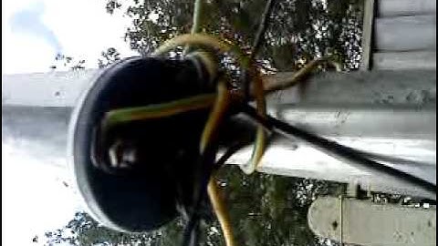 HUSTLER 4BTV WITH 17M