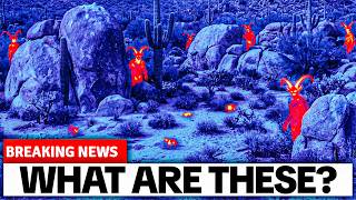 Bradshaw Ranch Was Filmed Using Thermal Imaging — What Appeared Has No Explanation