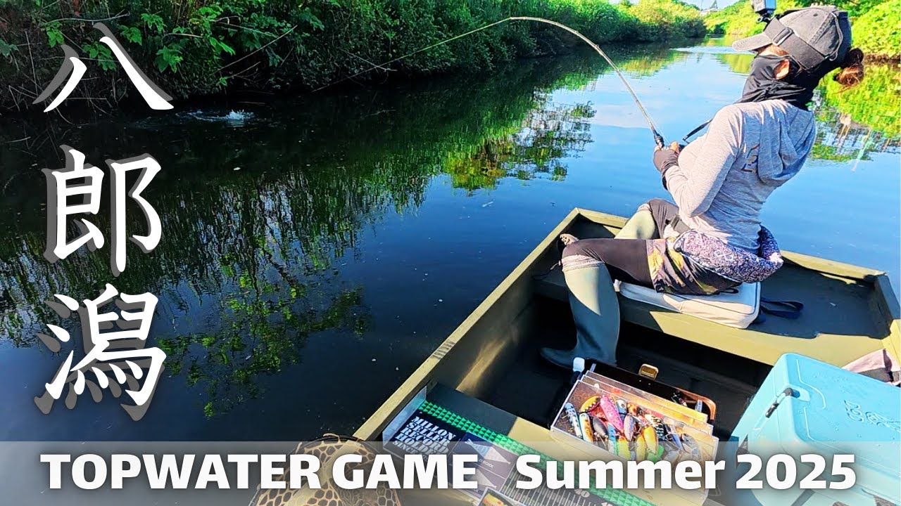 【トップウォーターゲーム】夏の八郎潟編