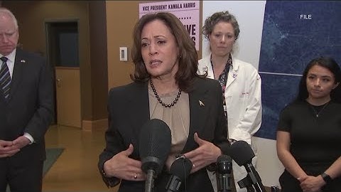 Georgia lawmakers react to Biden dropping out of race, endorsement for VP Harris