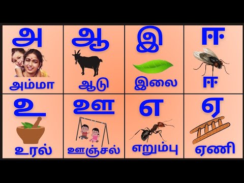 அ-அம்மா ஆ-ஆடு/அஆஇஈ/Uyireluthukkal/உயிரெழுத்துக்கள்/Tamil Alphabets @PEEKABOO-ff8wq #uyireluthukka