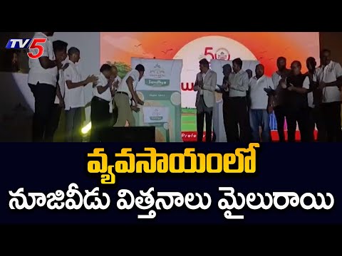 నూజివీడు సీడ్స్ లో నూతన వరి రకం New 9359 - 9 Sandhya Paddy variety was developed Nizividu |TV5 - TV5NEWS