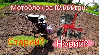 :    10  