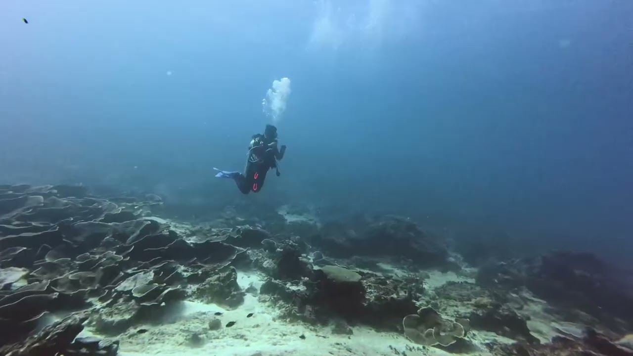 Barracuda Point slow current - Dry And Wet Together - 