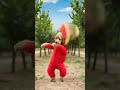 Cat dance #catdance #dogdance #petdance #animaldance #trend #meow #funnydance