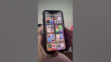 Fitur iOS 16 Beta 1 Developer, lift subject from background #ios16 #ios16features