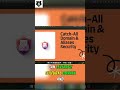 Online Security: Leverage Domains & Aliases #shorts