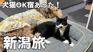 両親、初めての新潟観光で寺泊・弥彦神社・燕三条へ［犬猫５匹旅３］