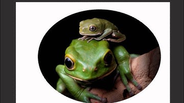 Add Alpha Channel in Gimp?