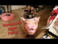 Apple Party With Sammy The Mini Pig In His Steampunk Hat & Baby The Parrot