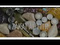 Zakat Al Fitr 2025 Zakat Al Fitr 2025