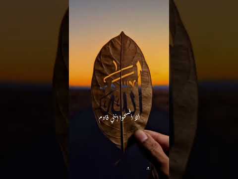 اناشيد اسلامية