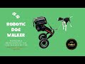 Bipedal Robot Dog Walker IN REAL LIFE | TRON1&#39;s new skill checked!