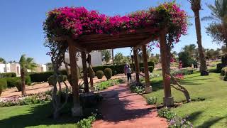 Полный обзор отеля Аврора Ориентал Шарм Ель Шейх 2021 