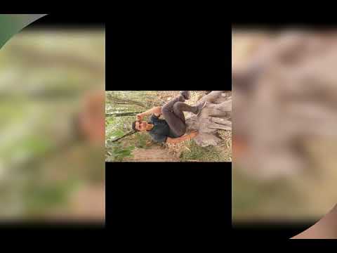 البرنس احمد محي