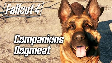 Fallout 4 - Companions - Meeting Dogmeat