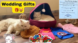 Wedding Gift For My Cats  From The Bow Point || Rehan & Max