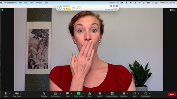 In-Call Sidekick Communication Coach Demo