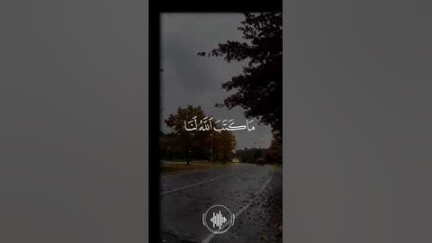 قل لن يصيبنا الا ما كتب الله لنا #سورة_التوبة