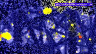 Diffusion And Crowding Inside The Cell - Ethz & Sciencevisualsvisualbiotech
