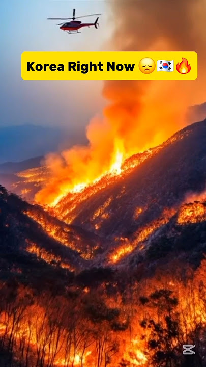 Pray for Korea 🥹🇰🇷💔 #seoul #southkorea 🇰🇷 #koreawildfire #PrayForKorea #fireworks #wildfire #shorts