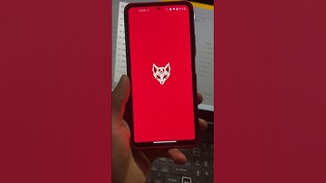 Do you use Magisk or Magisk Delta?