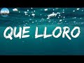 Que lloro (Video con Letra) - Ke Personajes (Cover)