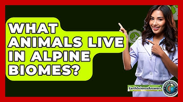 What Animals Live In Alpine Biomes? - Earth Science Answers