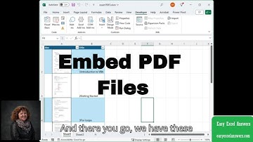 How to embed PDF files in an Excel worksheet with VBA