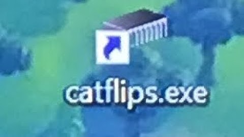 catflips.exe #Parallel100kRC