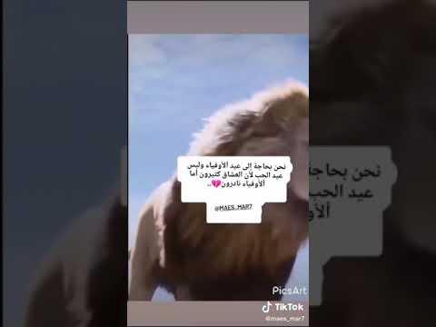 حالات واتساب ملك الغابه اسد