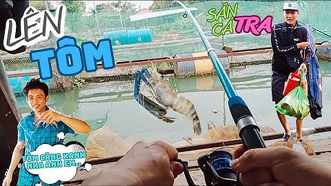 Lên Bè Chú Phước Săn Cá TRA Và Cái Kết ✅ Câu Tôm Càng Xanh Lên Luôn Cá Lăng Tại Làng Bè Tân Mai