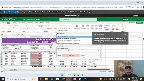Sam Exam Excel Module 02 Formulas Functions and Formatting
