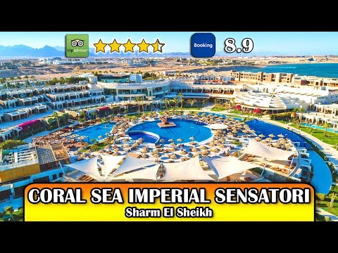 5-Star Jewel In Sharm El Sheikh! Tui Blue Coral Sea Imperial Sensatori Review