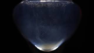 Absinthe Grand Swiss