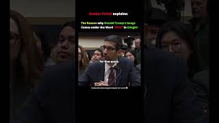 Why Trump Showed Up As Idiot On Google Educational Clip