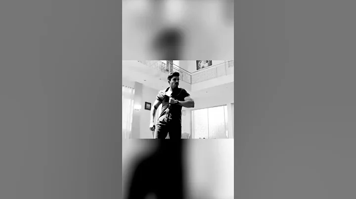 Allu Arjun DJ Action Scene  South Indian Hindi Dubbed Best Action