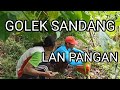 Golek sandang pangan penuh perjuangan wongtigo official