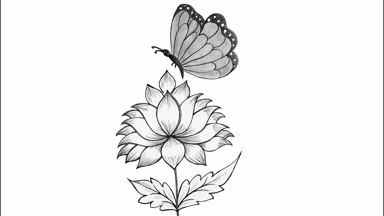 Easy Butterfly and Lotus Drawing 🦋| Simple Pencil Sketch Step by Step