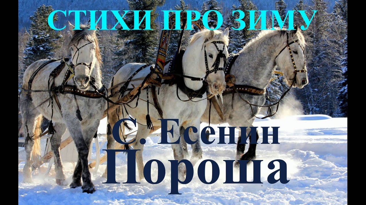 Стихи Про Зиму И Новый Год
