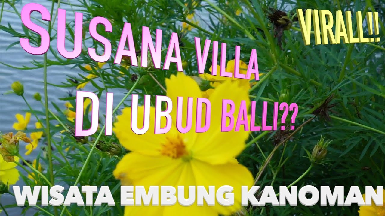 WISATA EMBUNG KANOMAN KEREN.. SUASANA VILLA DI UBUD BALI #Pandansari #Ajibarang - YouTube