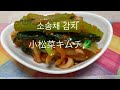 [韓国料理]自家製小松菜キムチ🥬(텃밭 소송채 김치)