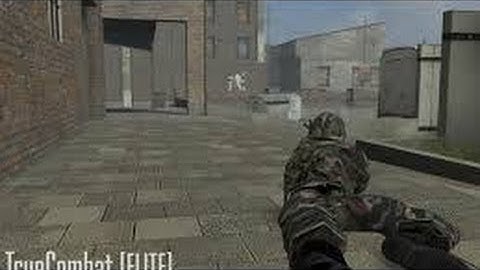 True Combat Elite Gameplay | Bot Time