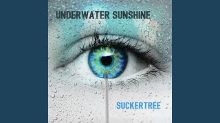 Video thumbnail of "Underwater Sunshine - It's You"