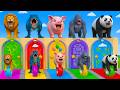 Funny 3D Animals Long Slide Game! 🐘🐯