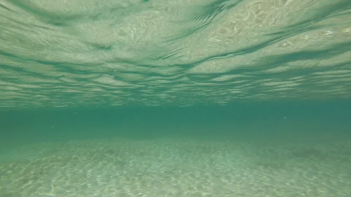 Snorkeling the North Shore - Large School of Fish